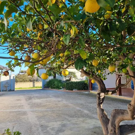 Maniscalco Holiday home *
